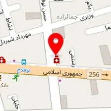 دکتر ماندانا شبیر