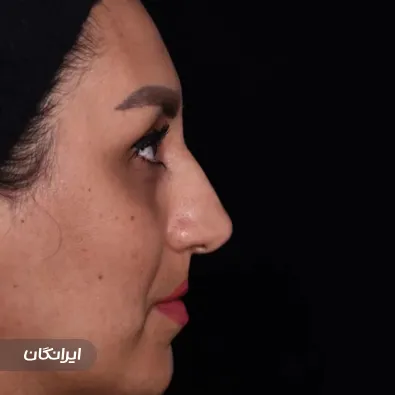 دکتر حمید مجتهدی