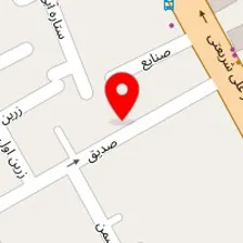 دکتر رویا حامدی