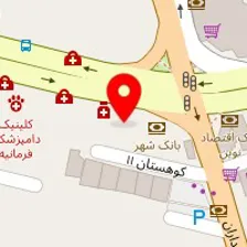 تصویربرداری پزشکی دکتر ساناز حیدرخان