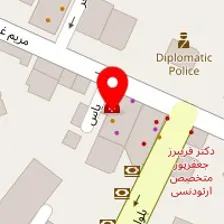 دکتر هومن امیر حمزه