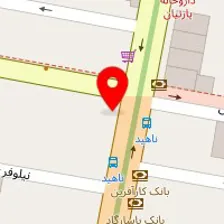 سالن خدمات ناخن نیلی