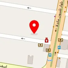 زیبا سرای الی رز