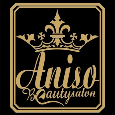 لوگوی سالن زیبایی آنیسو
