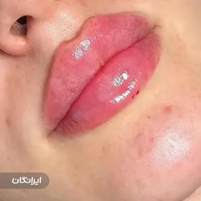 دکتر بهمن نوحی فرد