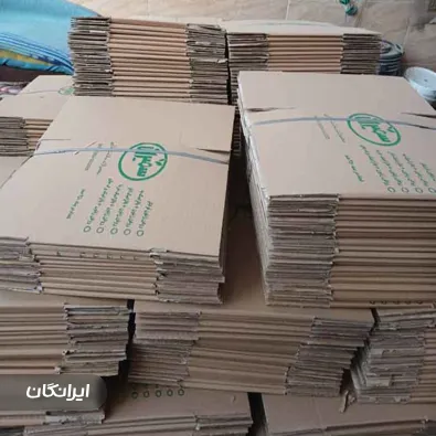 کارتن سازی موسوی