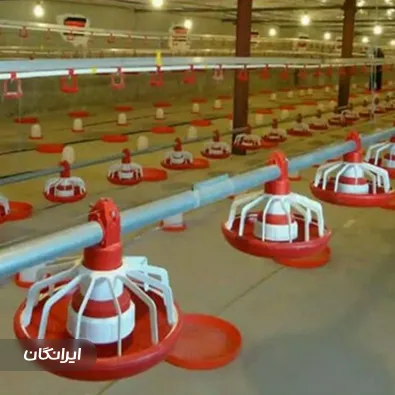 فروشگاه تجهیزات مرغداری تکنو صنعت غرب