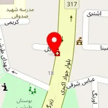 دکتر نیوشا عاطفی