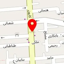 دکتر یوسف تی تی دژ