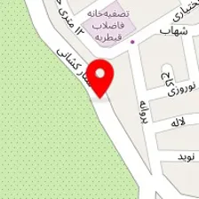 دکتر شریفه عصمتی