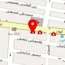 دکتر محمد گل محمدی
