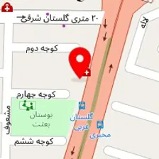 دکتر سعید صیدی