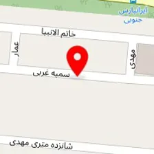 دکتر امین جمیلی