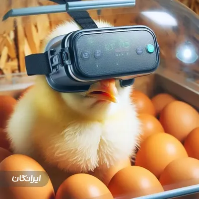 تولیدی تجهیزات مرغداری یاسین کاکاوند