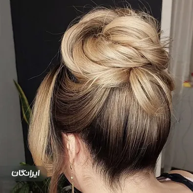 هیرکات آرتیست فرزانه ابریشمی