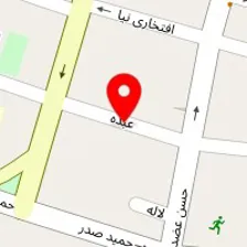 دکتر شهره حمزه نژاد