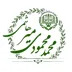 لوگوی وکیل محمد محمودی میرهاشمی