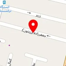 دکتر فاطمه آقاهادی