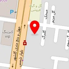 دکتر نوشین ریاضی