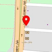 دکتر مهشید صفارپور