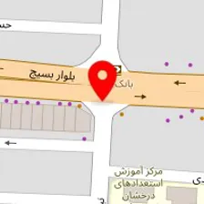 دکتر کامبیز هنرزاد