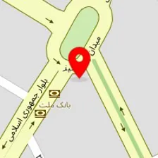 دکتر حامد منصوری