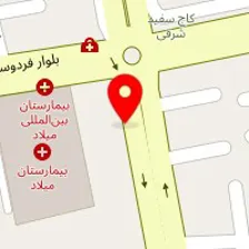 دکتر محمدعلی محمدی