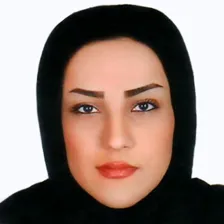 وکیل سهیلا حسینی