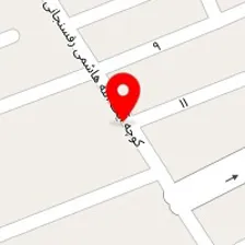 قالیشویی برف