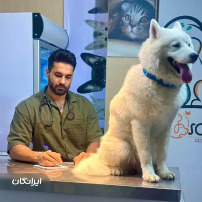 دامپزشکی اسکار