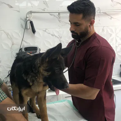 دامپزشکی اسکار