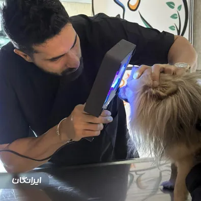 دامپزشکی اسکار