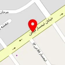 شرکت پیشگامان کار و سرمایه هوشمند