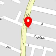 قالیشویی تخت جمشید