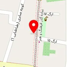 قالیشویی ابریشم بم