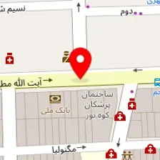 پیمانکاری وریاماتاک