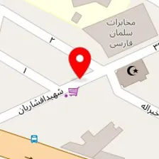 خدمات اگزوز فرمانیه