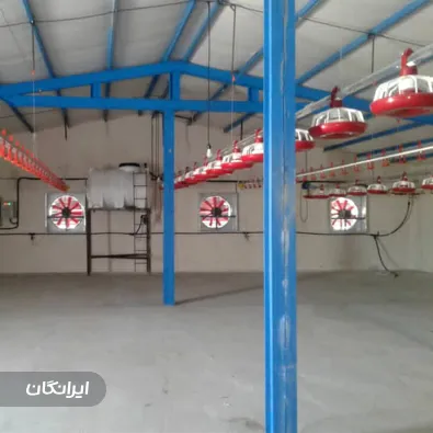 فروشگاه تجهیزات مرغداری یارا طیور