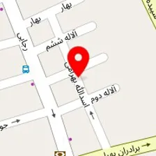 دکتر مهردخت معلمی