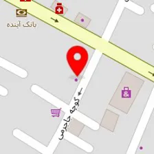 دکتر یاسمن ال یاسین