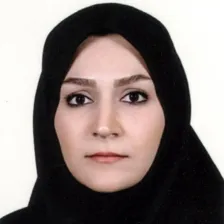 وکیل نفیسه پایون