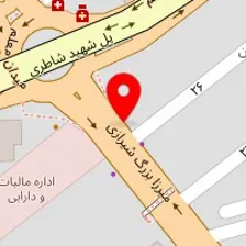 دکتر شهربانو سیدعلیان