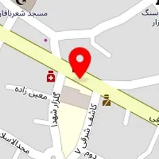 دکتر زهرا ابراهیم پور