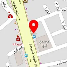 دکتر یلدا میرمعینی