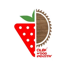 لوگوی دکوراسیون داخلی چیلک چوب