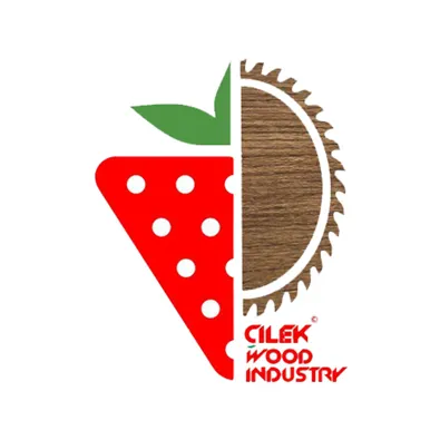 لوگوی دکوراسیون داخلی چیلک چوب