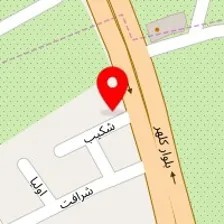 دکتر محمود شمسی