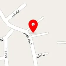 دکتر علیرضا کیمیایی