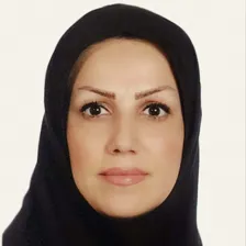 وکیل شیرین مشکین