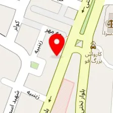 دکتر مریم رضوانی